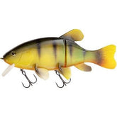 Quantum's Freak Of Nature Hybrid Tench